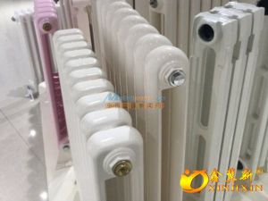 鋼制柱形暖氣片 選購QFGZ203圓二柱型散熱器，認準廠家直銷的水暖五金專家
